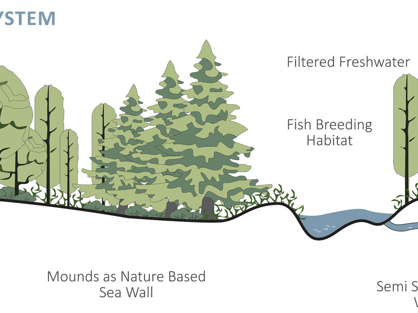 Section of proposed buffer system.