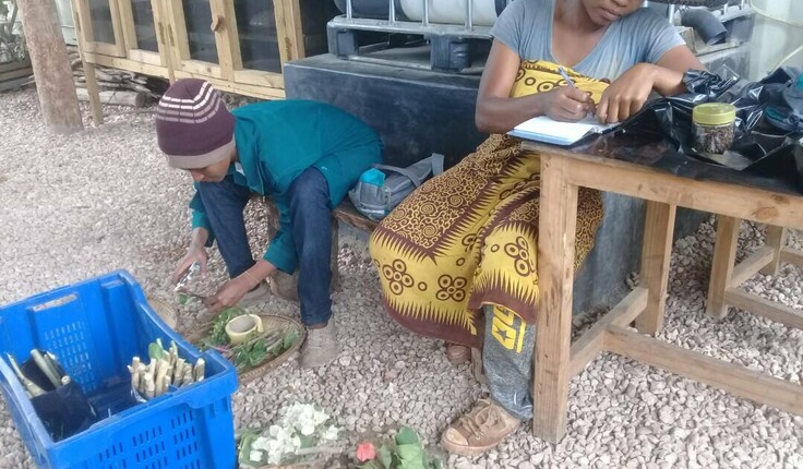 Propagating and recording seedlings. Photos supplied by Franko Gohse and Case Design.