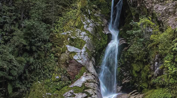 📷 Dorothy Falls, West Coast. Credit: Stephen Brown