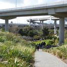 Waterview Shared Path