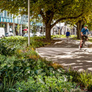 Image: uploads/2019_04/LFDR8749E.jpg