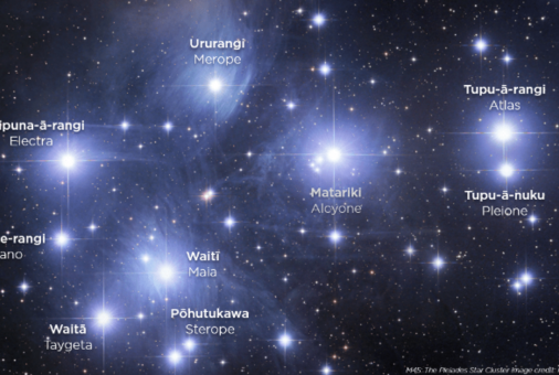 NZILA BRANCH EVENT | Te Ao Māori, Tikanga, and the Spirit of Matariki for Designers