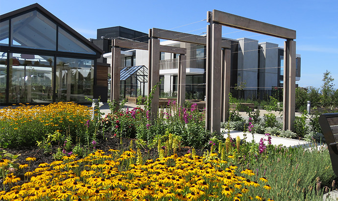 Activities such as gardening; flower arrangement; butterfly feeding; cooking and garden games were considered for this collection of communal areas to make them interactive and encourage them to be inhabited by the village residents and their visitors.