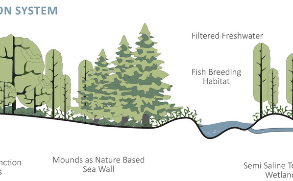 Section of proposed buffer system.