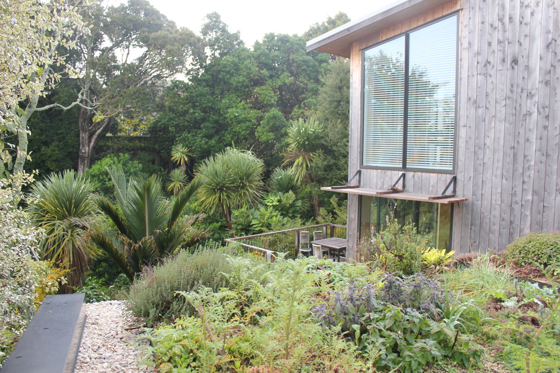 Residential living roof, Auckland - Photo by Zoë Avery