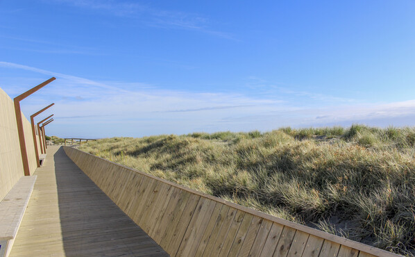 View of the successful dune regeneration from the boardwalk.