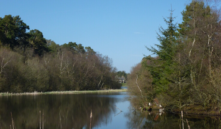 Rothley Lakes