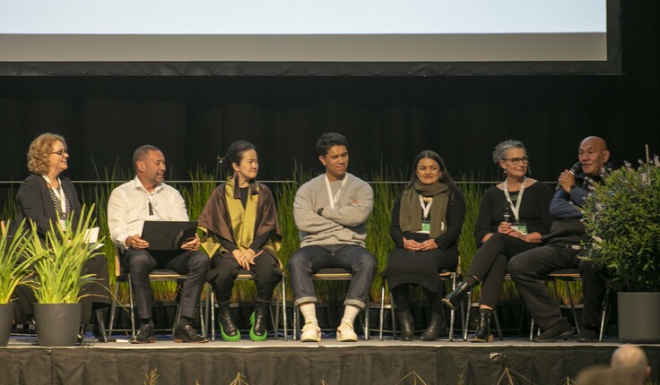 Cultural Impacts Panel Discussion