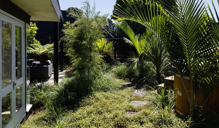 Richard Neville of Neville Design Studio says this Morningside Garden in Auckland is biodiverse.
