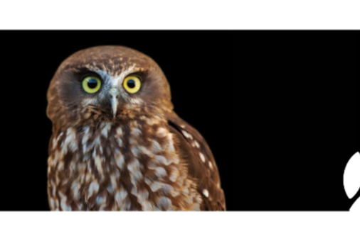 EDS webinar: Vanishing Nature revisited: are we facing the biodiversity crisis?