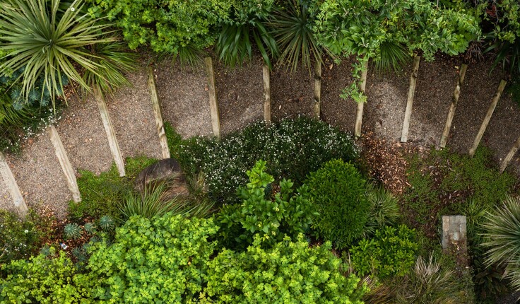 A slippery grass slope transformed into a ecologically rich garden. Image credit - Neville Design Studio.