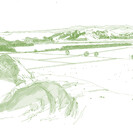 Napier Landscape Study