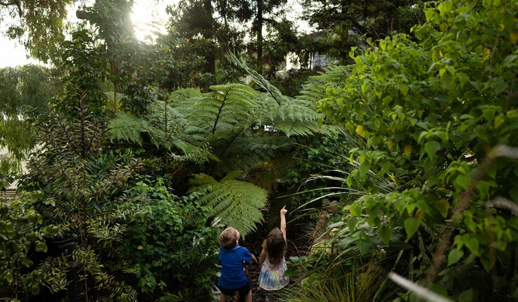 Previously a site of almost all lawn, now a garden titled ‘Sanctuary at Home’ Image credit - Neville Design Studio.