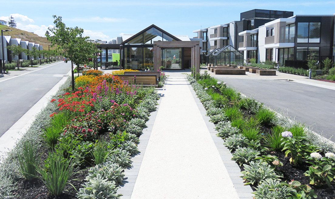Warm tones reflecting the beaches of the nearby Hibiscus Coast feature prominently in the finishes of the footpath and communal area paving,