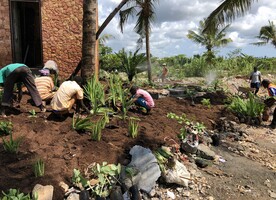 Planting day at the site. Photos supplied by Franko Gohse and Case Design.