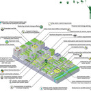 Living Roof Benefits in the City - drawn by Sam Hendrikse