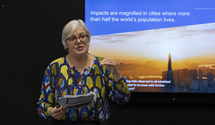 Professor Bronwyn Hayward speaking to NZILA members