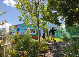 Students play on the recycled tree stumps. Image credit - Scott Sinton.