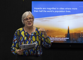 Professor Bronwyn Hayward speaking to NZILA members