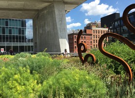 Great places, great planting - New York, Miami, Picton