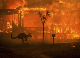 03 Extreme Conditions - Matthew Abbott / New York Times / Redux / Eyevine