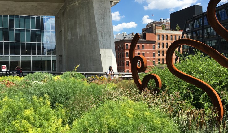 Great places, great planting - New York, Miami, Picton