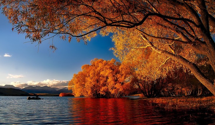 The NZILA president says the planned tourism levy makes sense if it helps conserve popular tourist spots like Lake Tekapo pictured here.