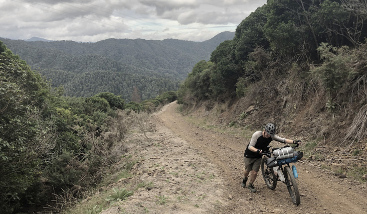 Towards the top the Maungatapu Track the 1084m climb became too steep and loose to ride.