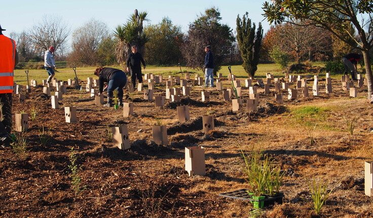 Some of our volunteers hard at work