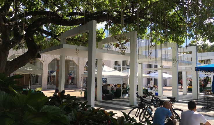 Great places, great planting - New York, Miami, Picton