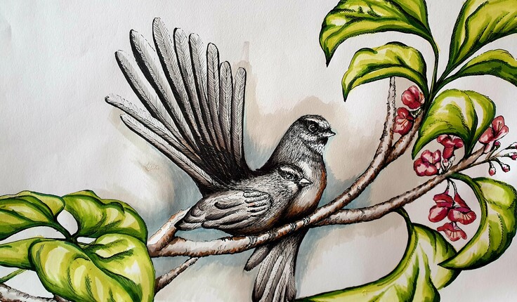 A lockdown sketch. “We have a big puriri tree on our front lawn and I’m working on sketching the life out of it. I've been studying Keuleman and other early New Zealand bird art in Geoff Norman Bird Stories.”