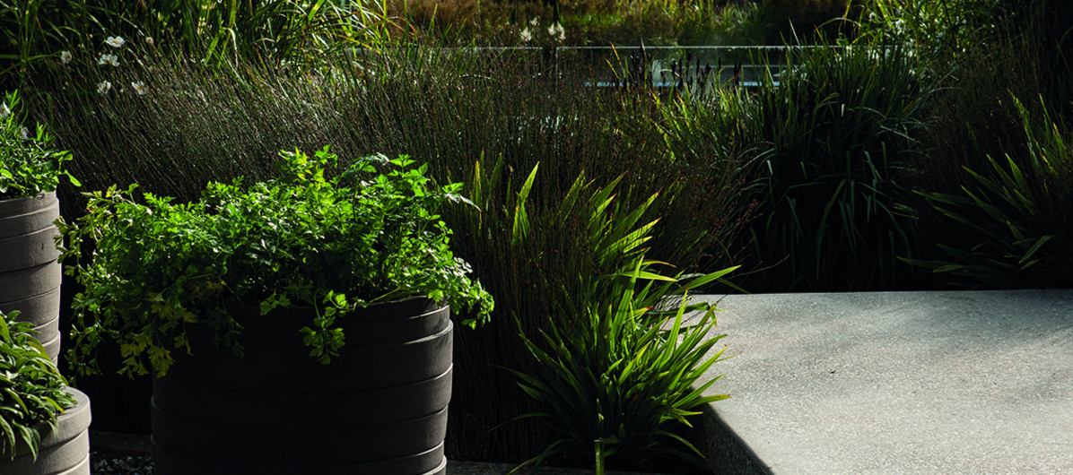 View from the herb garden across the pond, through the tall miscanthus, towards the Chris Booth sculture.