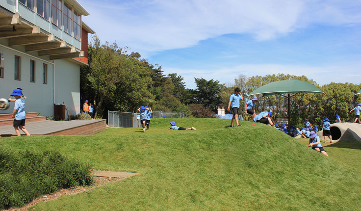 Image: uploads/2017_02/Dunedin_School2.jpg