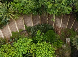 A slippery grass slope transformed into a ecologically rich garden. Image credit - Neville Design Studio.
