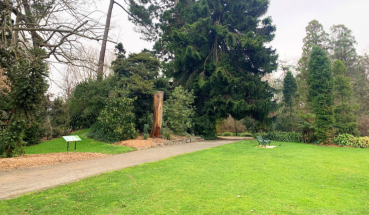 Image: uploads/2025_08/CCC_BotanicGardens_News_article_August_2025_626x365.png