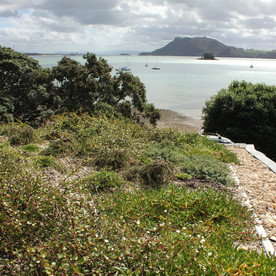 Biodiversity living roof, Whangarei - Photo by Zoë Avery