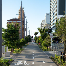 Integrated cycleway, green infrastructure, and lighting.