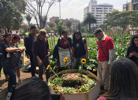 © Photo: Red Huerteros de Bogotá via Diana Wiesner