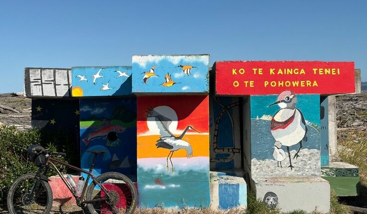 📸 The beach at Clive where pohowera are nesting. December 2025. Photo: Ralph Johns