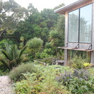 Residential living roof, Auckland - Photo by Zoë Avery