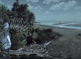Protect Coastal Dunes | Kuku waikawa coastline by Mercia Abbott