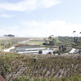 Wetlands in the wider surroundings with Wetland Bridge in the distance_