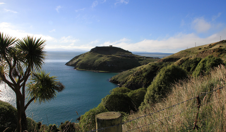 Tairoa Heads, Otago Peninsula