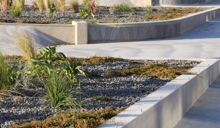 The planting character reflects the rugged and exposed coastal environment to the East, transitioning to the shelter of the estuarine environment to the West.
