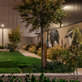 The landscape design for the Precinct incorporated cultural cues, while meeting the Ministry’s specific functionality and Crime Prevention design requirements.