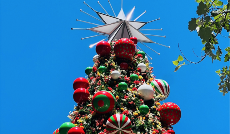 This is the biggest Christmas tree in New South Wales and sits in Martin Place in central Sydney.  It is decorated with more than 110,000 LED lights, a 3.4-metre colour-changing star and 330 specially created glossy baubles.  The tree’s 800 branches are dressed with 15,000 flowers representing 9 different kinds of Australian flowers: banksia, waratah, bottlebrush, wattle, eucalyptus gum flower, kangaroo paw, flannel flower, pink wax flower and white wax flower. Image credit - Vicki Clague.