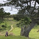 Parihaka Site Visit