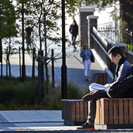 Seating – large timber benches with backs were designed to allow for informal study or large groups of friends to gather at.