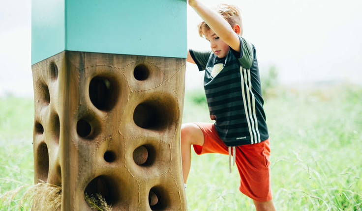 The Habitat Makers feature in the the Hobsonville Coastal Walkway and won the small project category.  Photo credit David St George.