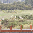 Side view of corten balustrade slats disappearing into the landscape behind it_